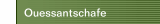 Ouessantschafe